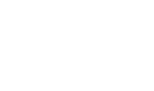 Google 4.9 stars