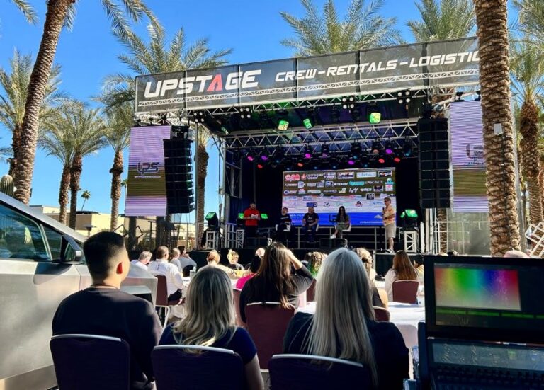 a crowd watching performers
